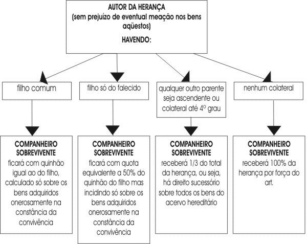 Fonte: https://profpatriciadonzele.blogspot.com/2011/08/sucessao-do-companheiro.html Fonte: https://profpatriciadonzele.blogspot.com/2011/08/sucessao-do-companheiro.html